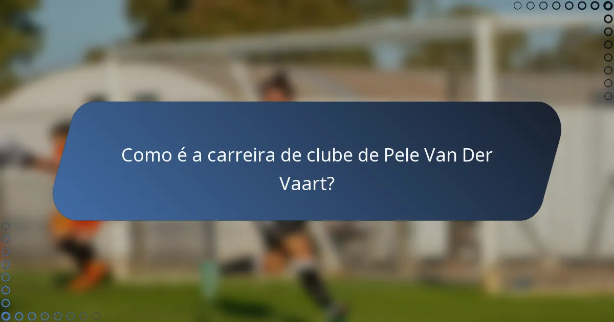 Como é a carreira de clube de Pele Van Der Vaart?